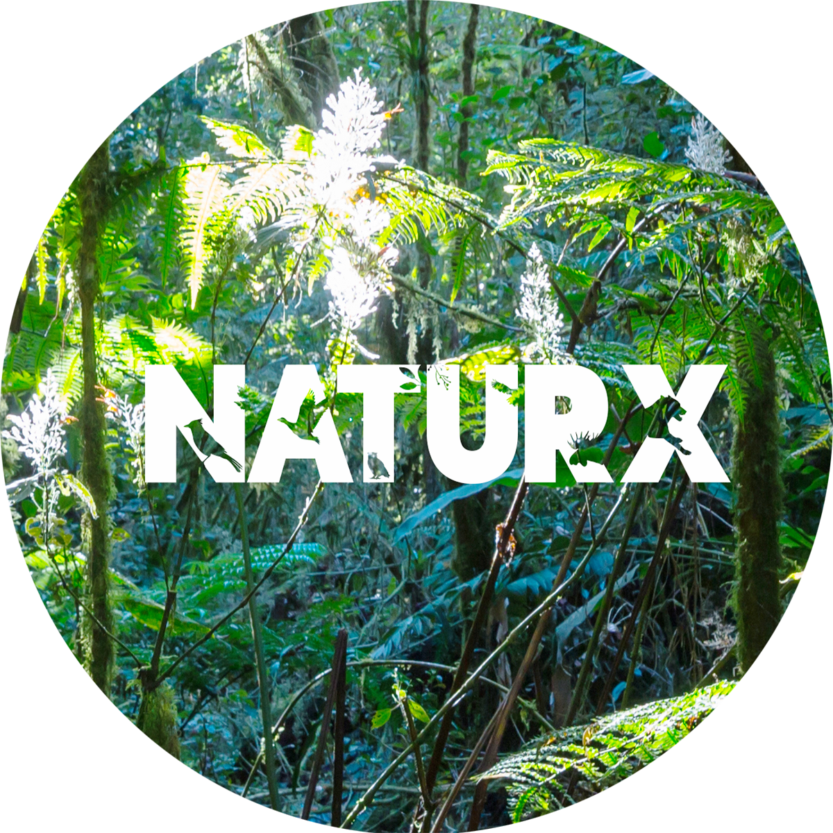 Naturx